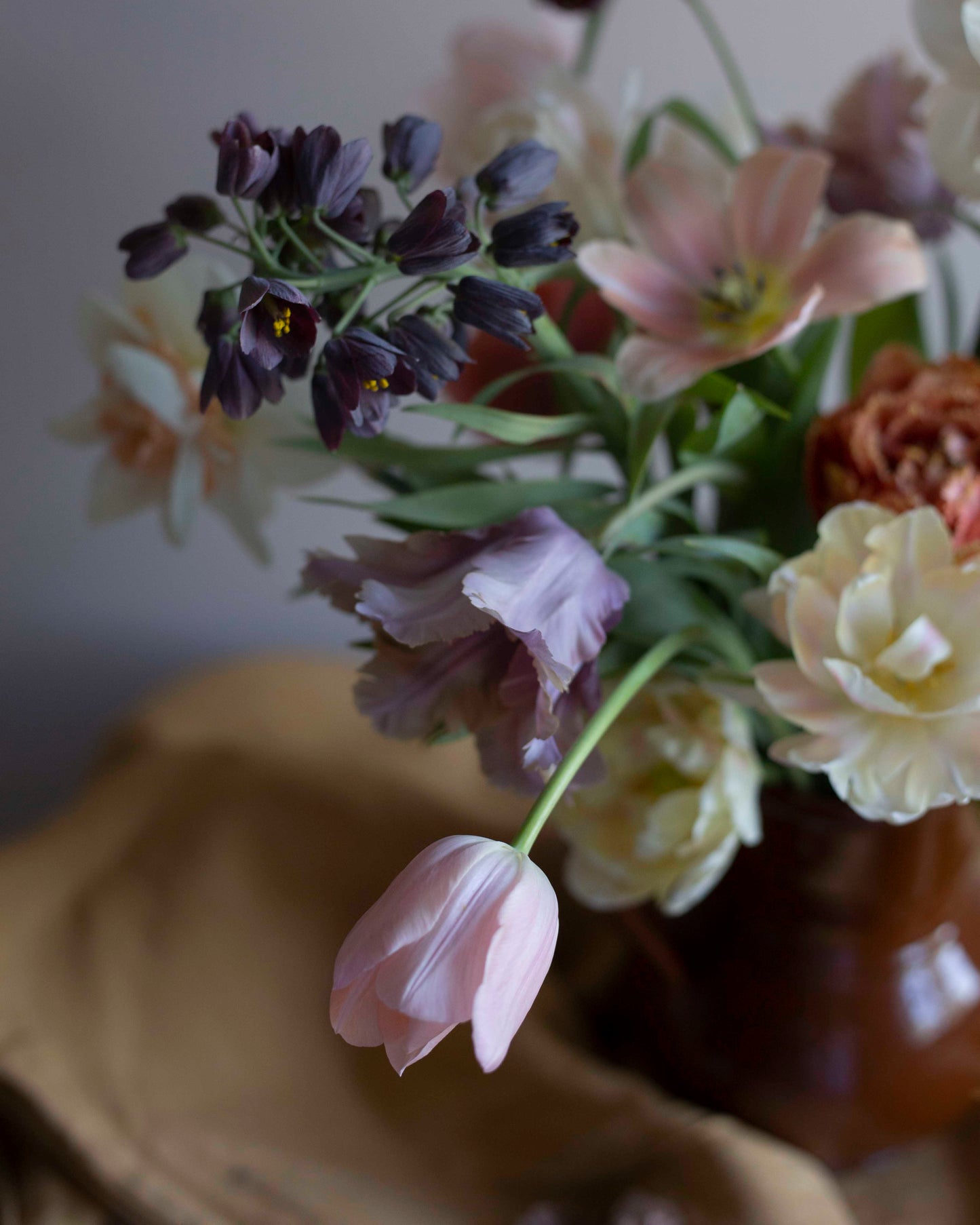Yksinkertainen tulppaani Thijs Boots