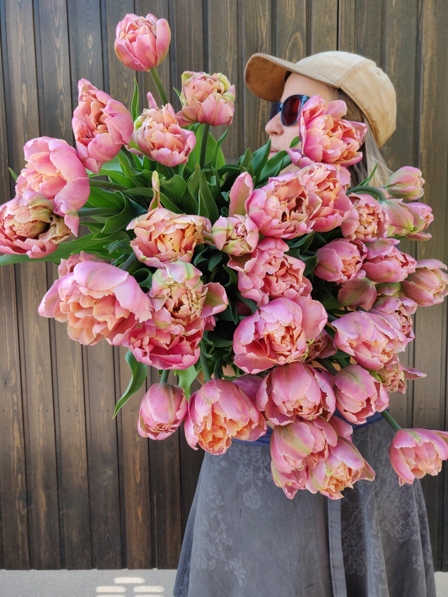 Kerrannainen tulppaani Pink Star