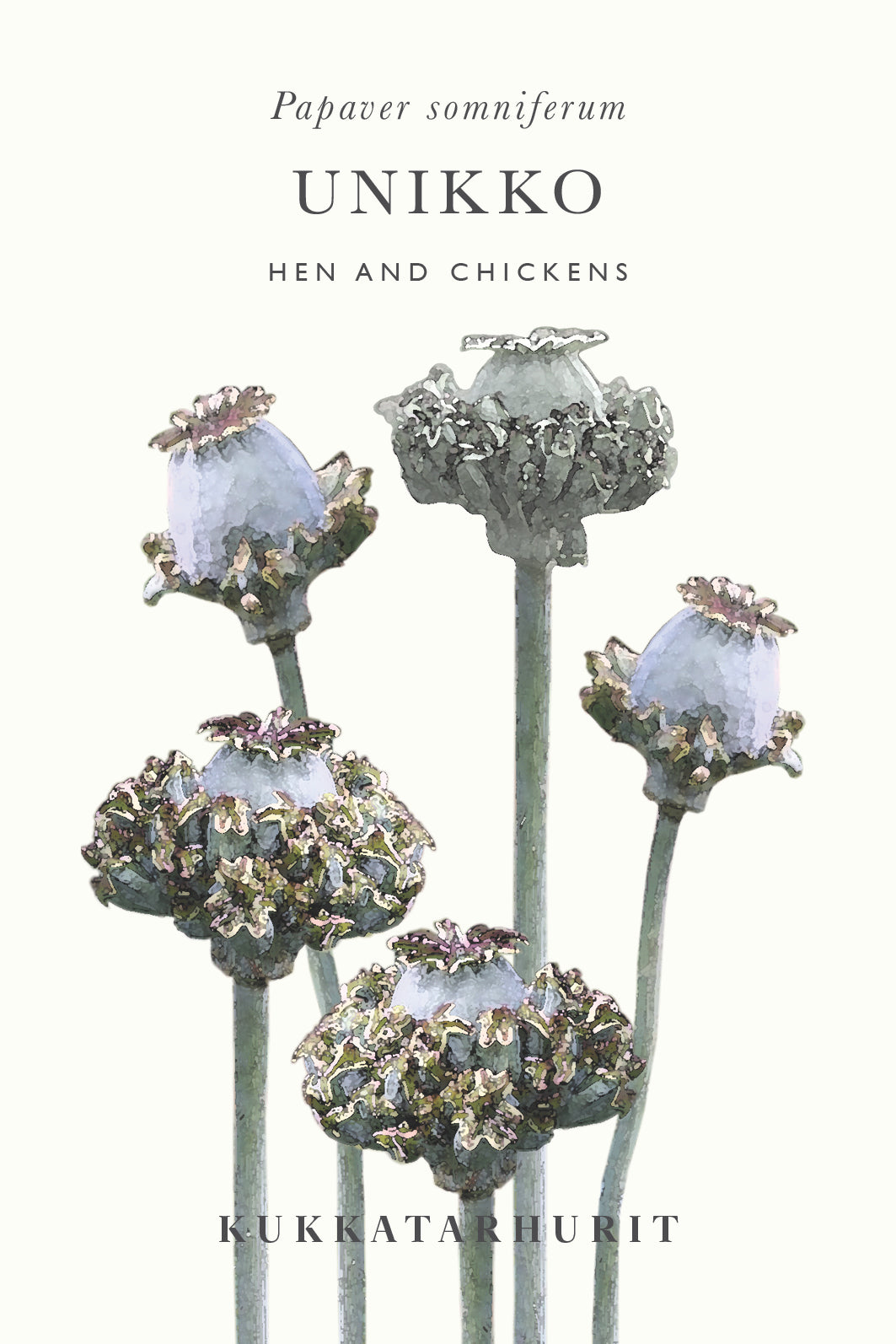 Unikko Hen and Chickens