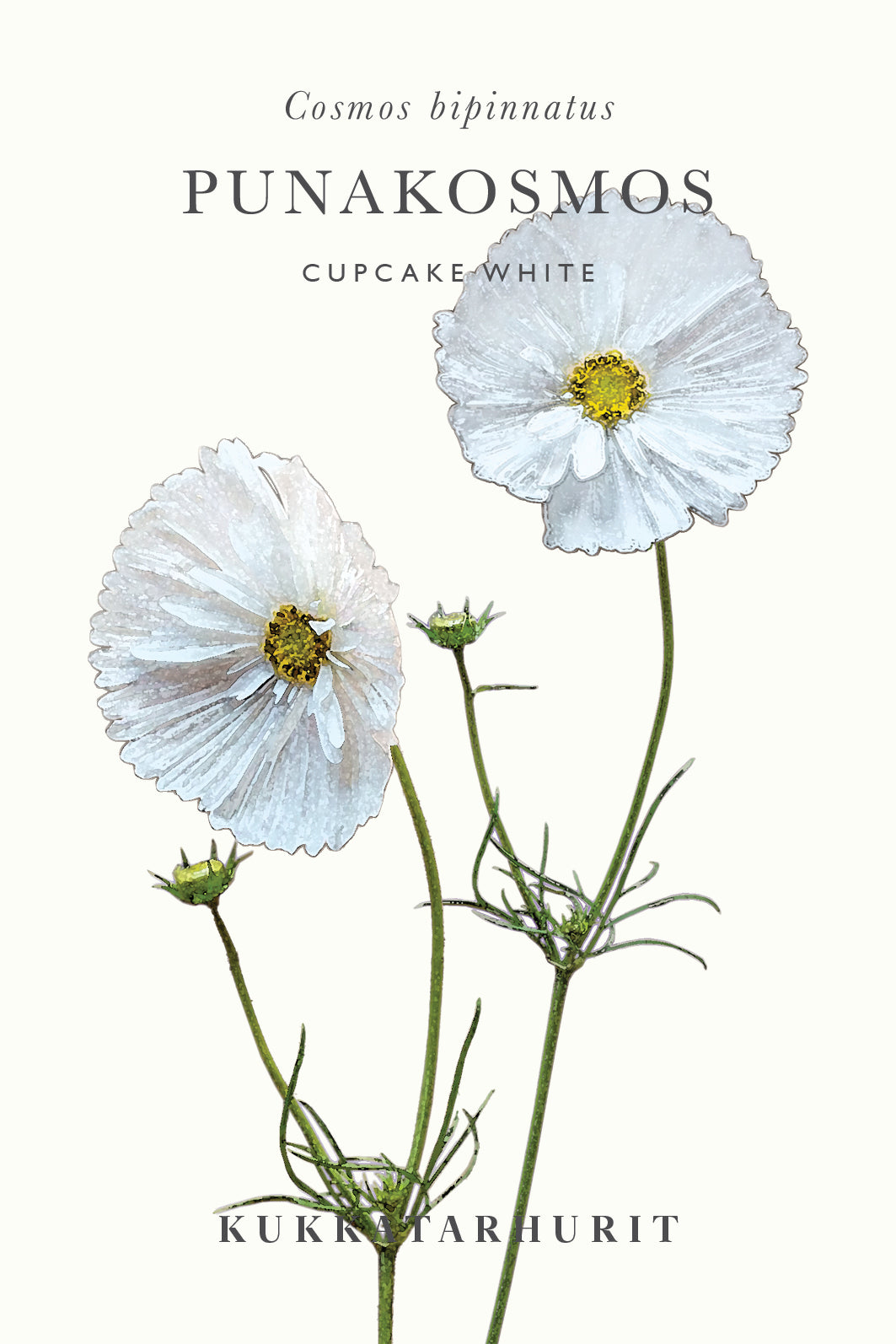Punakosmos Cupcake White