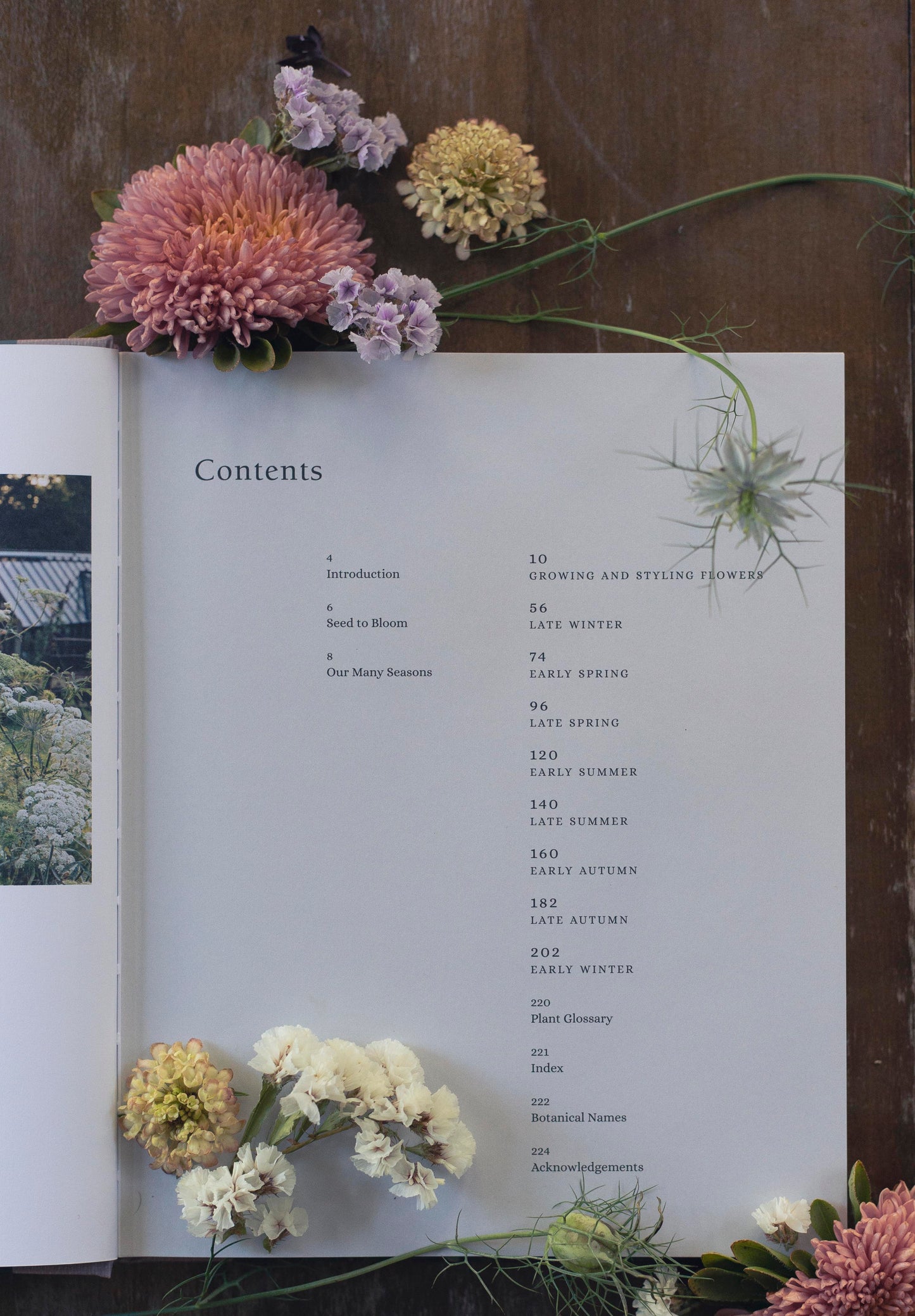 Milli Proust - From Seed to Bloom