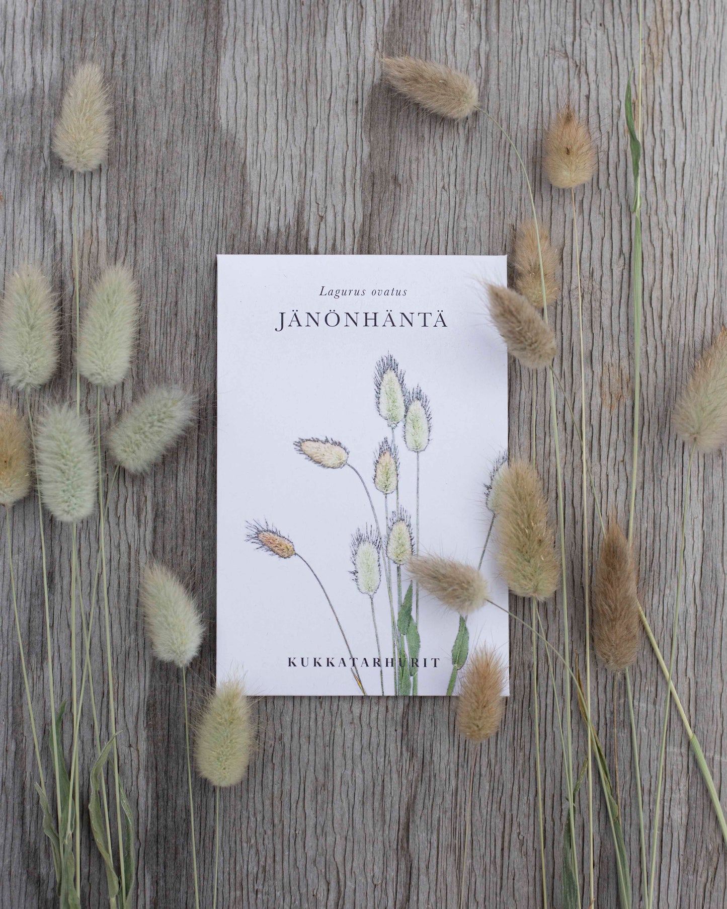 Jänönhäntä