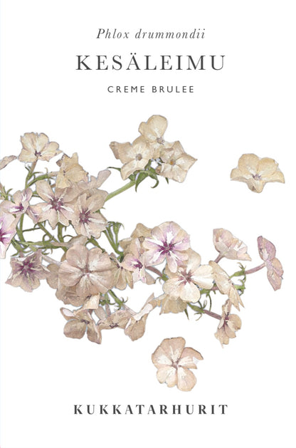 Kesäleimu Creme Brulee