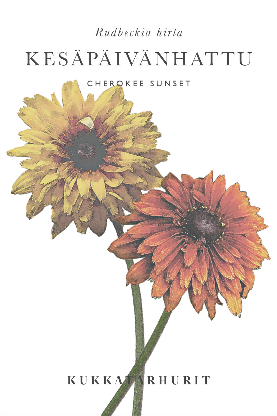 Kesäpäivänhattu Cherokee Sunset