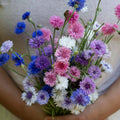 Meadow mix