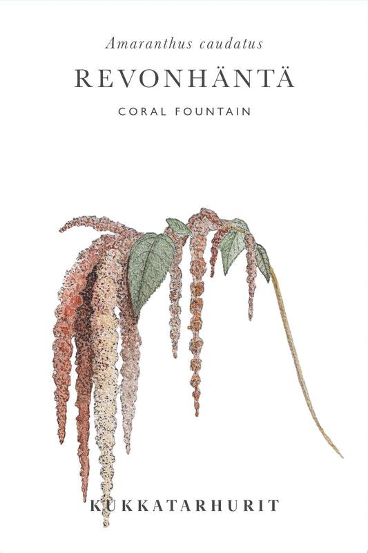 Revonhäntä Coral Fountain