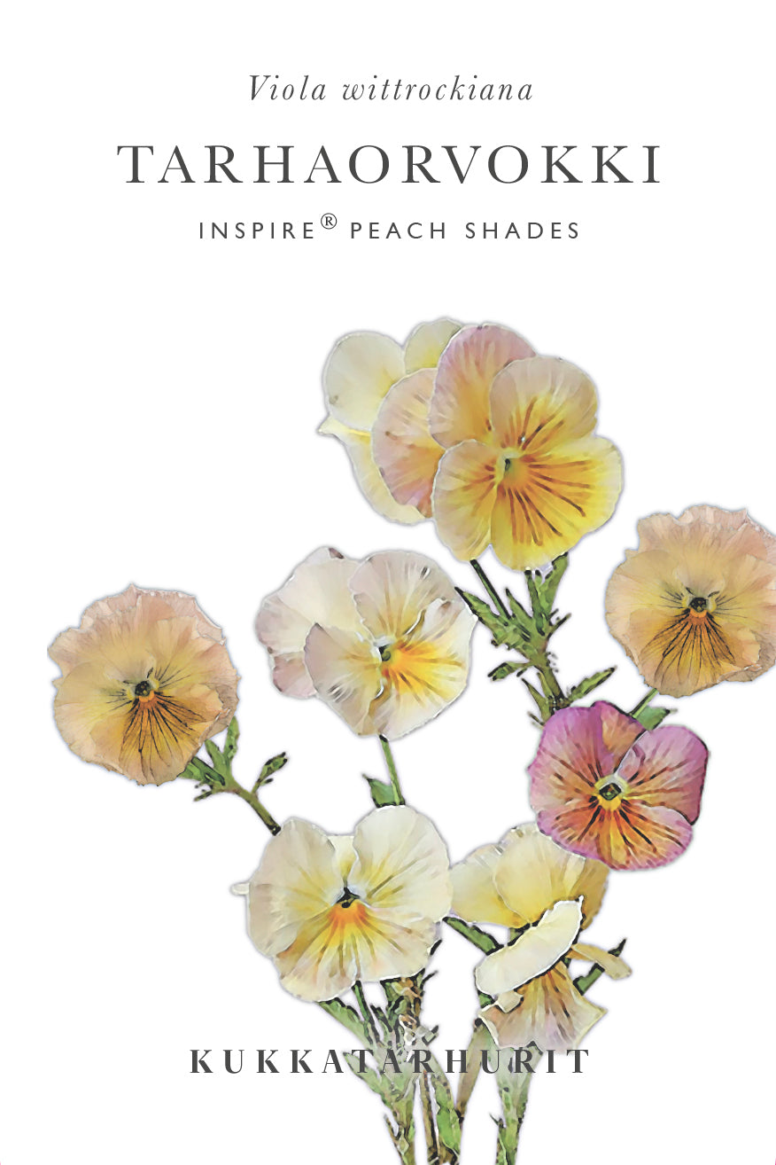 Tarhaorvokki Inspire Peach Shades