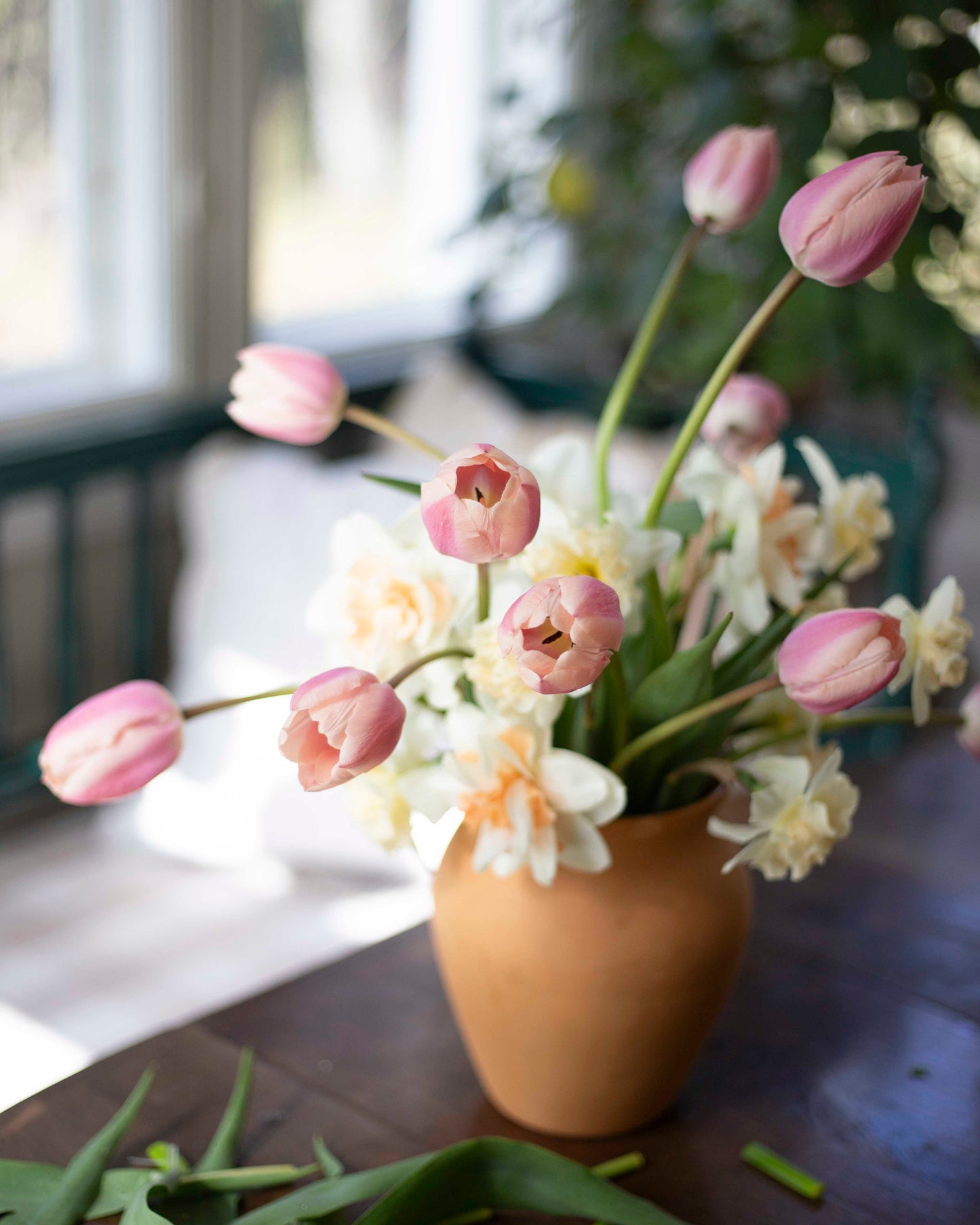 Yksinkertainen tulppaani Thijs Boots