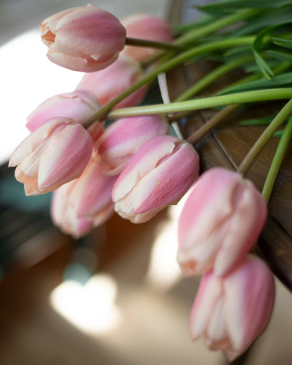 Yksinkertainen tulppaani Thijs Boots