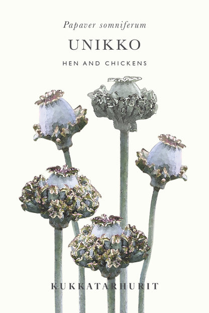 Unikko Hen and Chickens