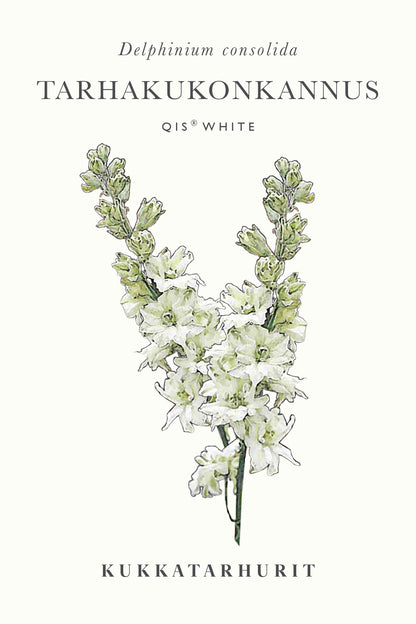 Tarhakukonkannus Qis® White